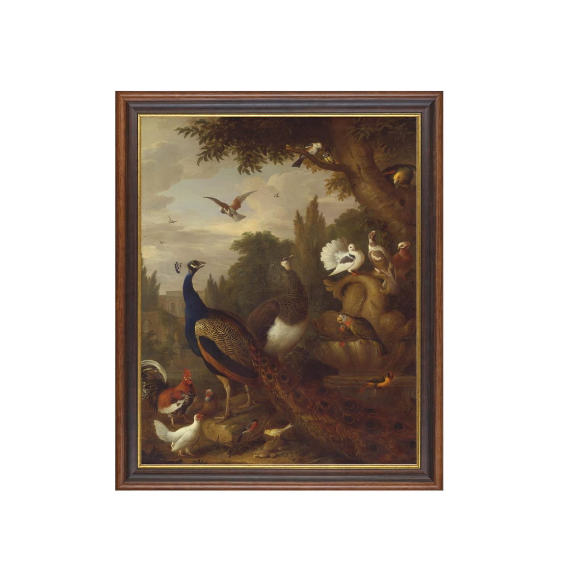 Vintage Bird Peacock Wall Art Print, Peahen, Canary, Nature Inspired Living Room Decor
