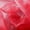 Red, variant on Decorative Silk Inc, Sparkle Crystal Sheer Organza Fabric Shiny for Fashion, Crafts, Decorations 60" Wide (100 Yard,Red )