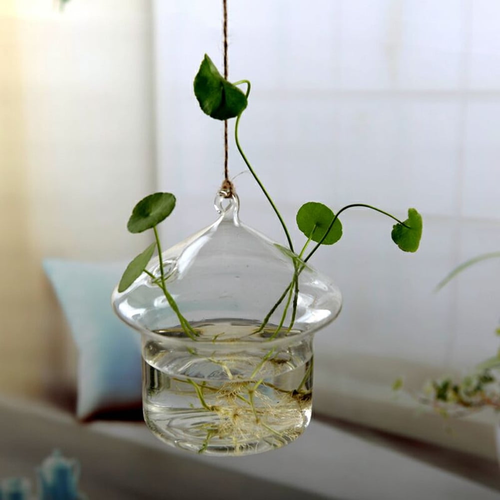 New Home Garden Clear Glass Flower Hanging Vase Planter Terrarium Container 