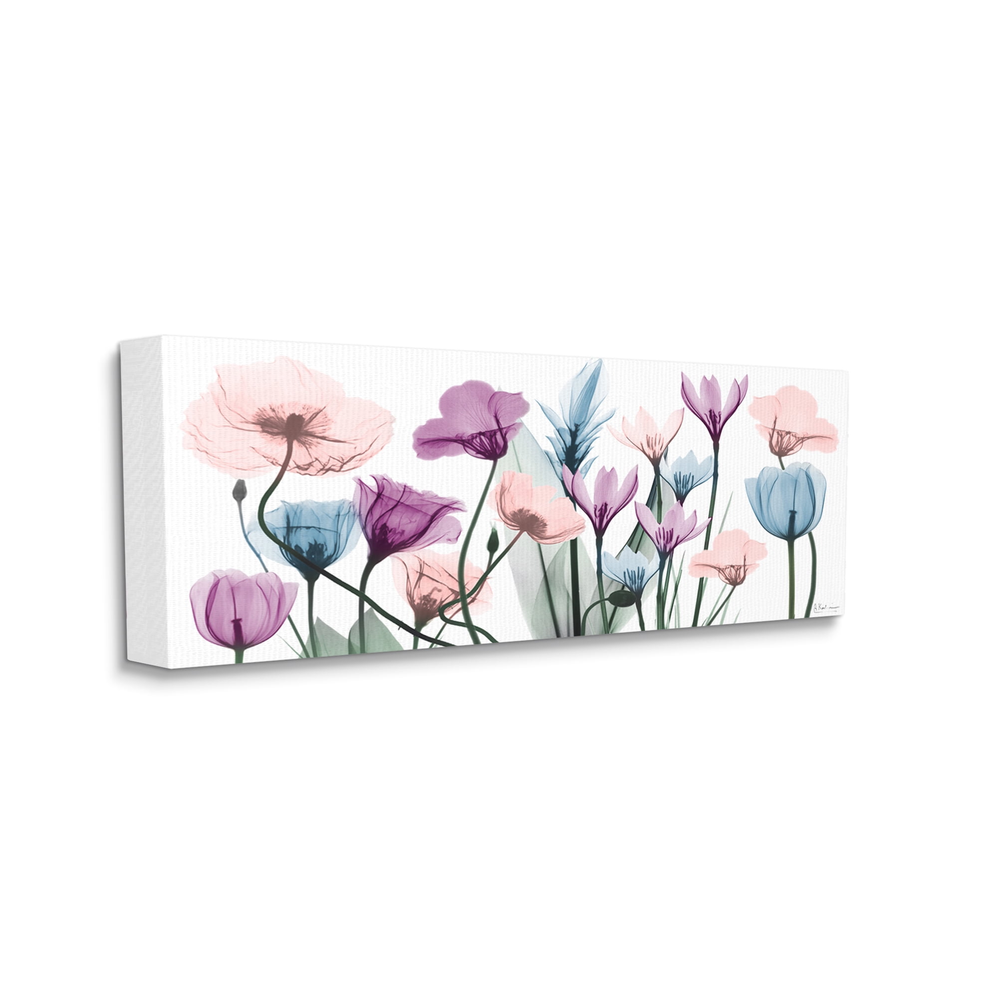 Stupell Industries Modern Translucent Pastel Tulips Flower Buds Blossoms Canvas Wall Art, 40 x 17, Design by Albert Koetsier