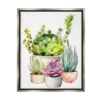 Stupell Industries Varied Succulent Garden Plants Botanical & Floral Painting Gray Floater Framed Art Print Wall Art