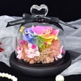 thumbnail image 4 of Decoración de flores eternas rosa con fondo de musgo amor cubierta de vidrio flores secas regalos navideños Regalos de cumpleaños para familiares y amigos, 4 of 5