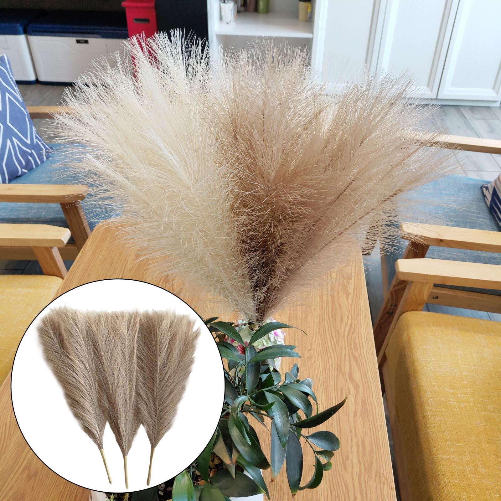 Axioma 9 Pieces Dried Pampas Grass Bohemia Reed Flowers Bunch Home Gift Living Room