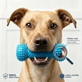 thumbnail image 2 of Fountwell Dog Dental Chew Toy Pet Oral Care Brushing Teeth Cleaner for Small Medium Large Dogs, 2 of 8