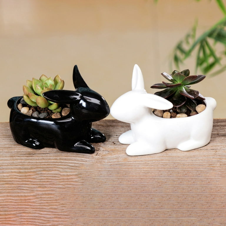 Drainage for desk gifts for women Creative plant planters and succulent  pots Bunny