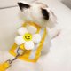 thumbnail image 2 of Cat Harness and Leash Set Escape Proof Kitten Harness, Adjustable Cat Vest Harness Stylish Breathable Pet HarnessM, 2 of 5