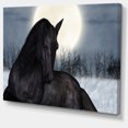 thumbnail image 2 of Black Horse in Moonlight - Animal Canvas Art Print, 2 of 3