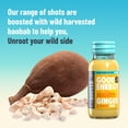thumbnail image 3 of UNROOTED Good Energy Shot (12 Pack, Mighty Ginger) - Immune System and Natural Energy Booster - 12 x 60ml Bottles - Ginger, Turmeric, Chilli & Baobab, 3 of 5