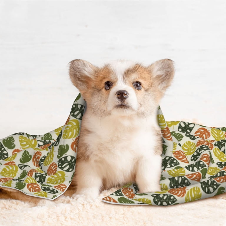 Disketp Monstera Leaves Dog Blanket/Bed Cover for Dogs and Cats,Puppy  Essentials-Large - Walmart.com