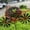 Multicolor, variant on JilgTeok 1 Packs Retro Metal Iron Art Bicycle Wheels Rotating Windmill Stake for Courtyard Garden Spinner Stake Decoration