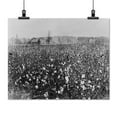 thumbnail image 2 of Print: Cotton Field With Building In Background, 1922, 2 of 4
