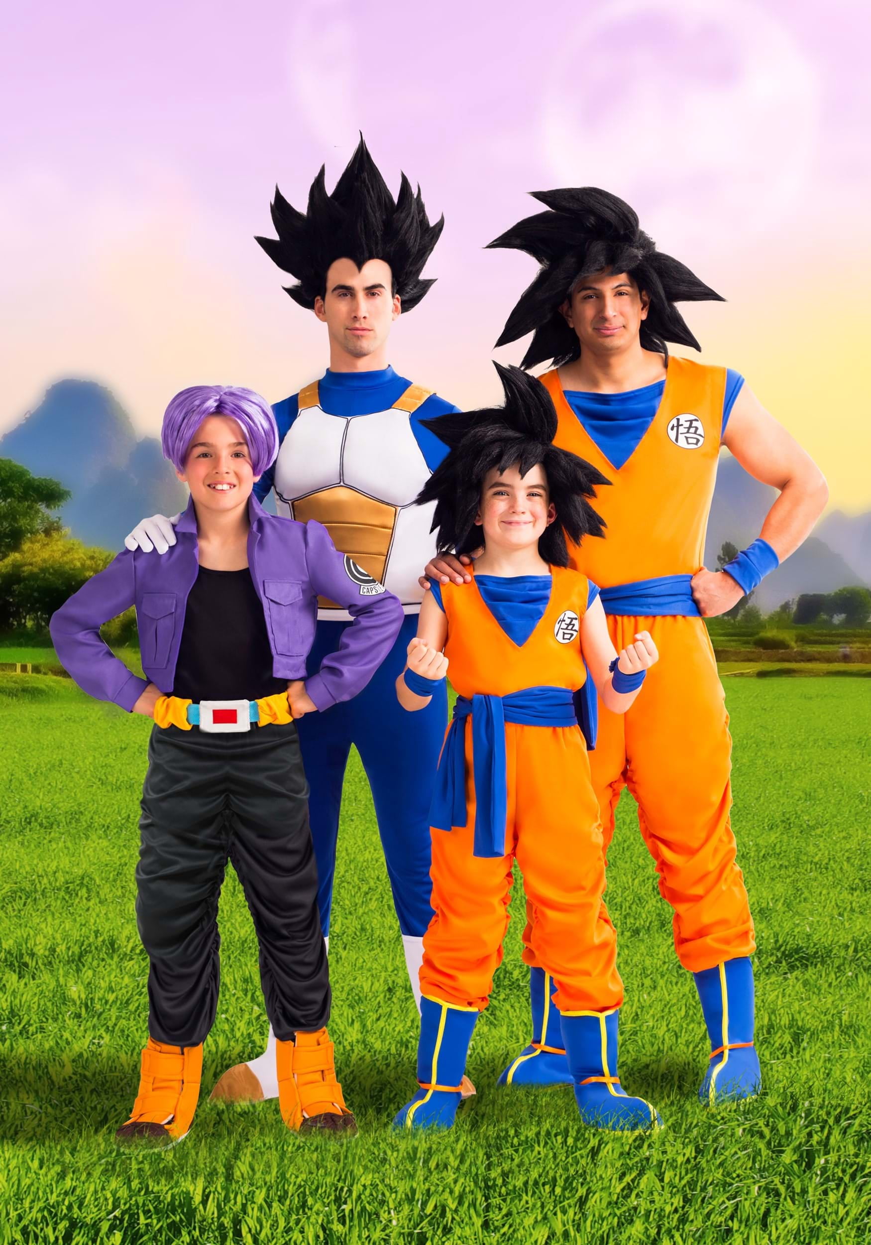 Dragon Ball Z Adult Goku Costume