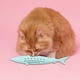 thumbnail image 3 of Juguetes para masticar para gatos, juguete para jugar con peces, cepillo de dientes para gatos, juguete para masticar para interiores Verde, 3 of 9