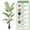 Style 02, variant on Colourtree 63" Artificial Palm Tree,Faux Areca Palm Plant with Real Touch Leaves and Adjustable Branches,Fake Tropical Palm Tree for Home Office Indoor Outdoor Modern Decoration - Pot Style 01