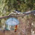 thumbnail image 4 of BirdFeeder Dome Funda de alimentación Estación de alimentación Protector Shield con percha a prueba de intemperie Sombra de nieve Patios Patios Fauna silvestre Casa Azul Inevent PT000745-03B, 4 of 7