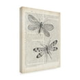 thumbnail image 2 of Trademark Fine Art 'Vintage Dragonflies on Newsprint' Canvas Art by Wild Apple Portfolio, 2 of 3