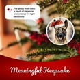 thumbnail image 4 of Belgian Malinois Dog Ornament - Pet Ornament for Christmas Tree - 3" Round Ceramic - Printed in USA - Puppy New Dog - Dog Mom - Dog Dad - Pet Owner - Xmas Decoration DOG022, 4 of 5