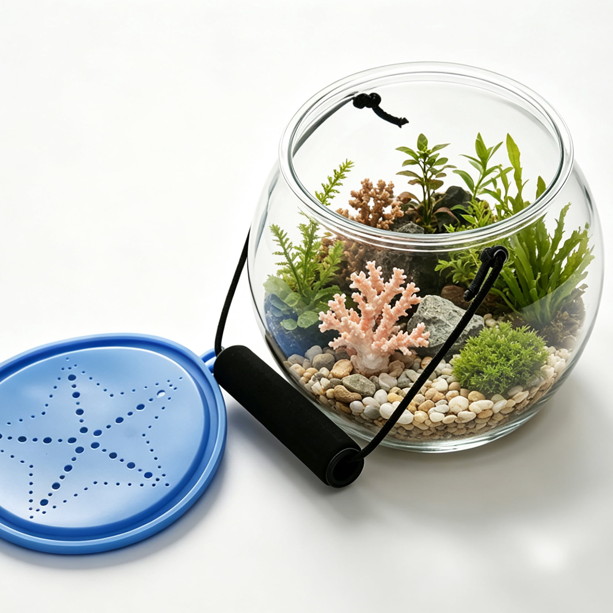 Easy Playhouse: Observation Aquarium - Beach Catch & Release Toy Terrarium, Clear Acrylic Orb, Handle & Lid, Fish & Nature Exploration Play, Kids 3+