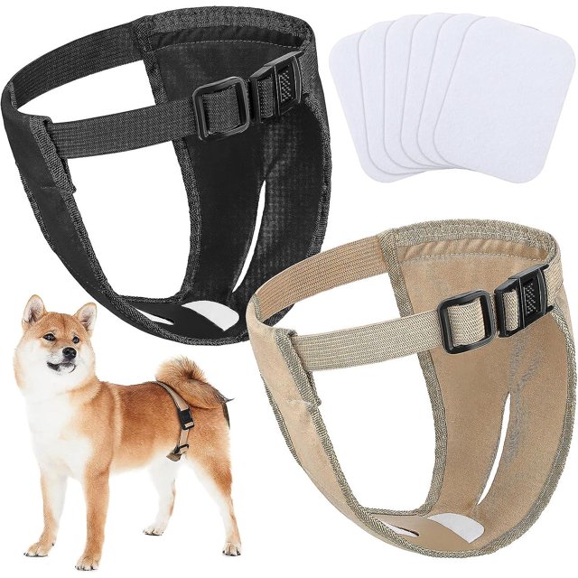 Paquete de 2 (l) pañales para perros bragas menstruales para perros pañales menstruales para perros protección ajustable pañales para perros hembra con 6 servilletas sanitarias Rojo Verde Cocina, Decoración y Otros