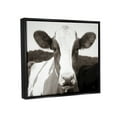 thumbnail image 3 of Stupell Industries Cow Portrait Farm Landscape Animals & Insects Photography Black Floater Framed Art Print Wall Art, 21 x 17, 3 of 9
