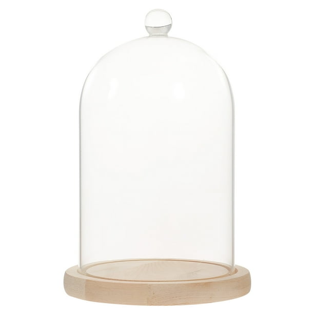 EeaseMX Exhibidor de flores secas con tapa de vidrio transparente, con asa de pájaro y base de madera (domo aleatorio).