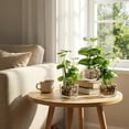 thumbnail image 2 of Set of 3 Artificial Plants, Faux Potted Plants Indoor, Small Fake House Plant in White Square Ceramic Pots for Shelf Decor, 2 of 8
