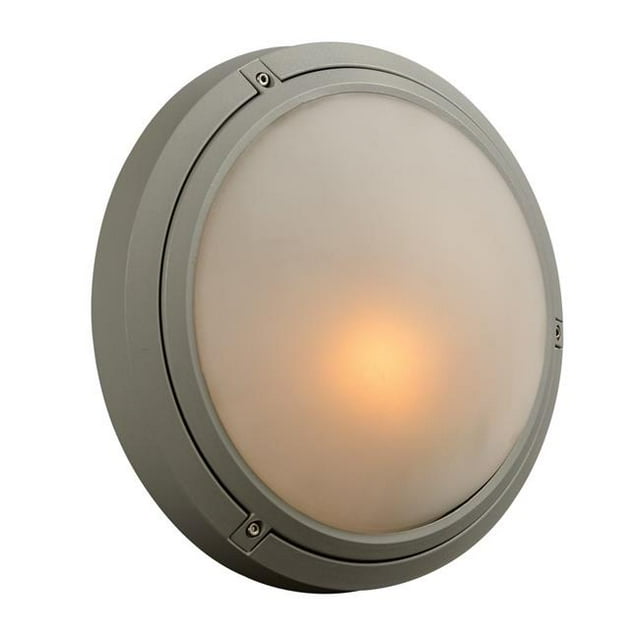 PLC 8037 SL 60W 120V One Light Outdoor Fixture Ricci-I Collection Frost Glass, Silver