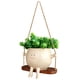 thumbnail image 5 of Macetero Con Cara Oscilante Creativo para en La Pared Planta Cadena Perlas, 5 of 6