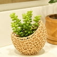 thumbnail image 2 of Clever Contraption Voronoi Artistic Succulent Planter Vase – Small, 2 of 9