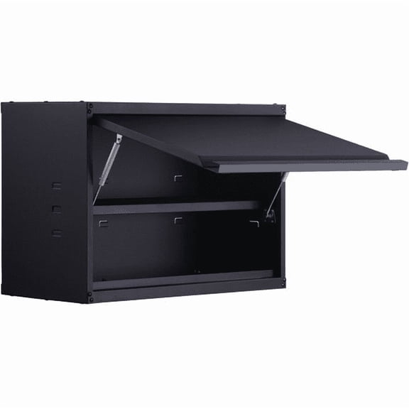 Wall Mounted Metal Storage Cabinet 20In Tall Black Powder Coating Steel Cabinet 120lbs Per Shelf Adjustable Shelf Press to Lock for Garage Office Home