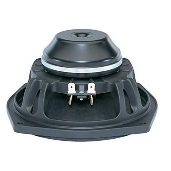 B & C Speakers 6NDL38 6.5 in. Woofer en Néodyme