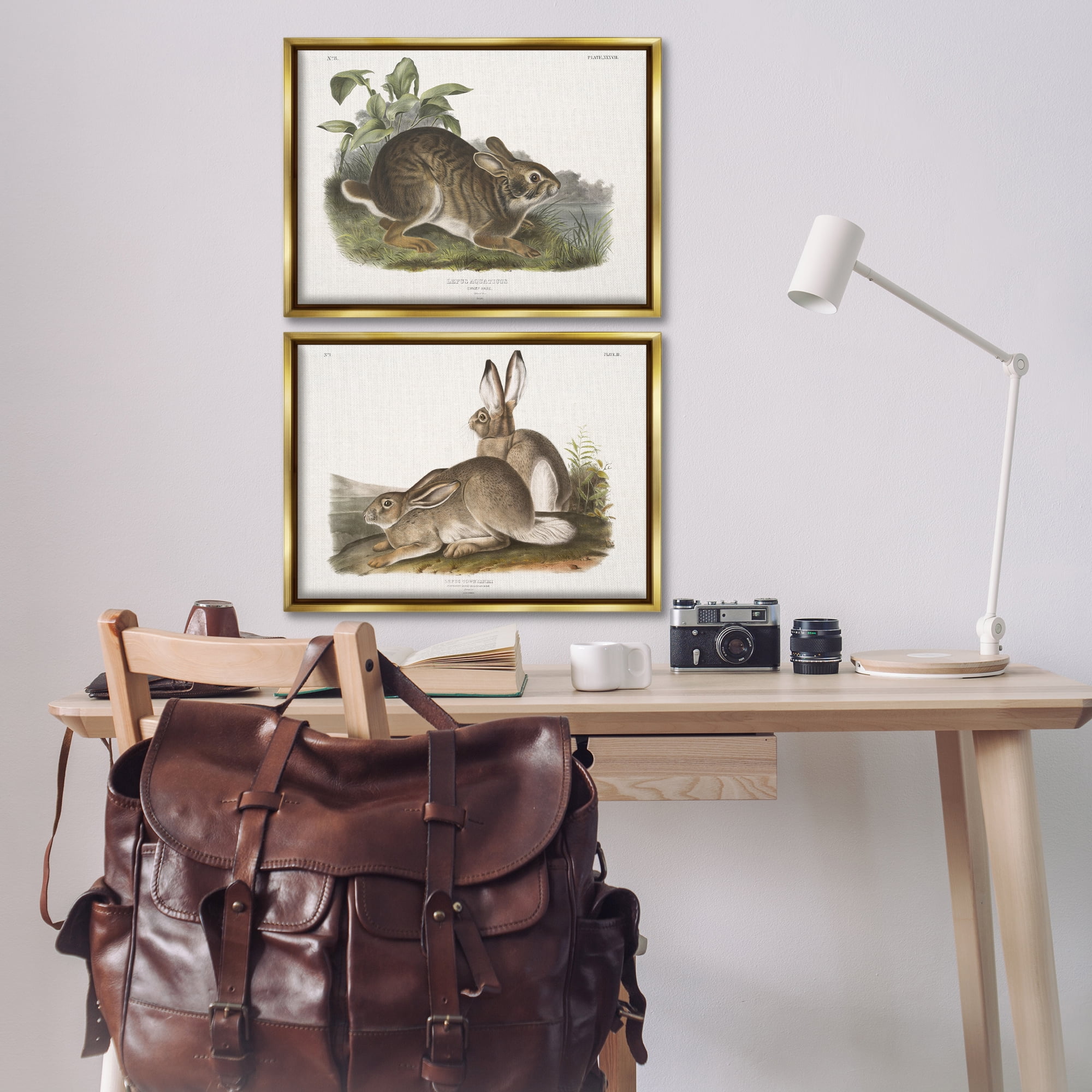 Stupell Industries Gentle Resting Cottage Rabbit Animals Painting Gold Floater Framed Canvas Art Print Wall Art, 25 x 17, Set of 2
