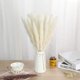 thumbnail image 4 of 30 piezas de hierba seca natural, plumas de caña de 19.7 pulgadas, ramo de flores secas, arreglos bohemios para el hogar, boda, cocina, oficina, decoración (blanco), 4 of 5