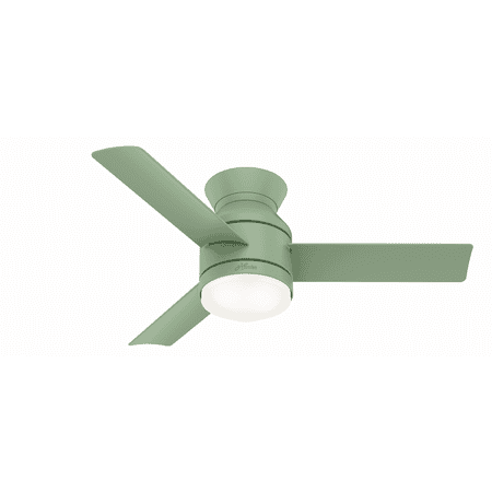 Photo 1 of 44" Dublin Low Profile Ceiling Fan with Remote Green (Includes LED Light Bulb) - Hunter Fan