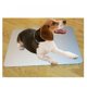 thumbnail image 4 of Almohadilla para Aluminio Pet Impermeable Lavable Mantén a tu mascota fresca - S S, 4 of 7