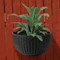 thumbnail image 3 of Yahome Black Imitation Rattan Semicircular Flower Pot Wall Hanging Flowers Planter Plastic Plant Basket Container with Drainage for Indoor Outdoor Home Office Balcony Garden Decor 1 Pcs, 3 of 7
