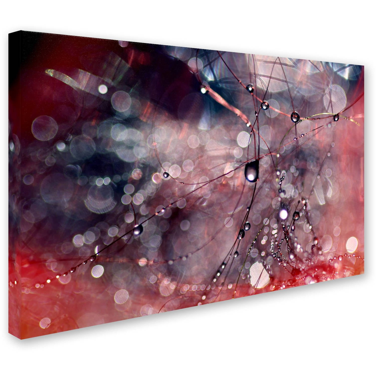 Trademark Fine Art "Outside the Box" Canvas Art by Beata Czyzowska Young