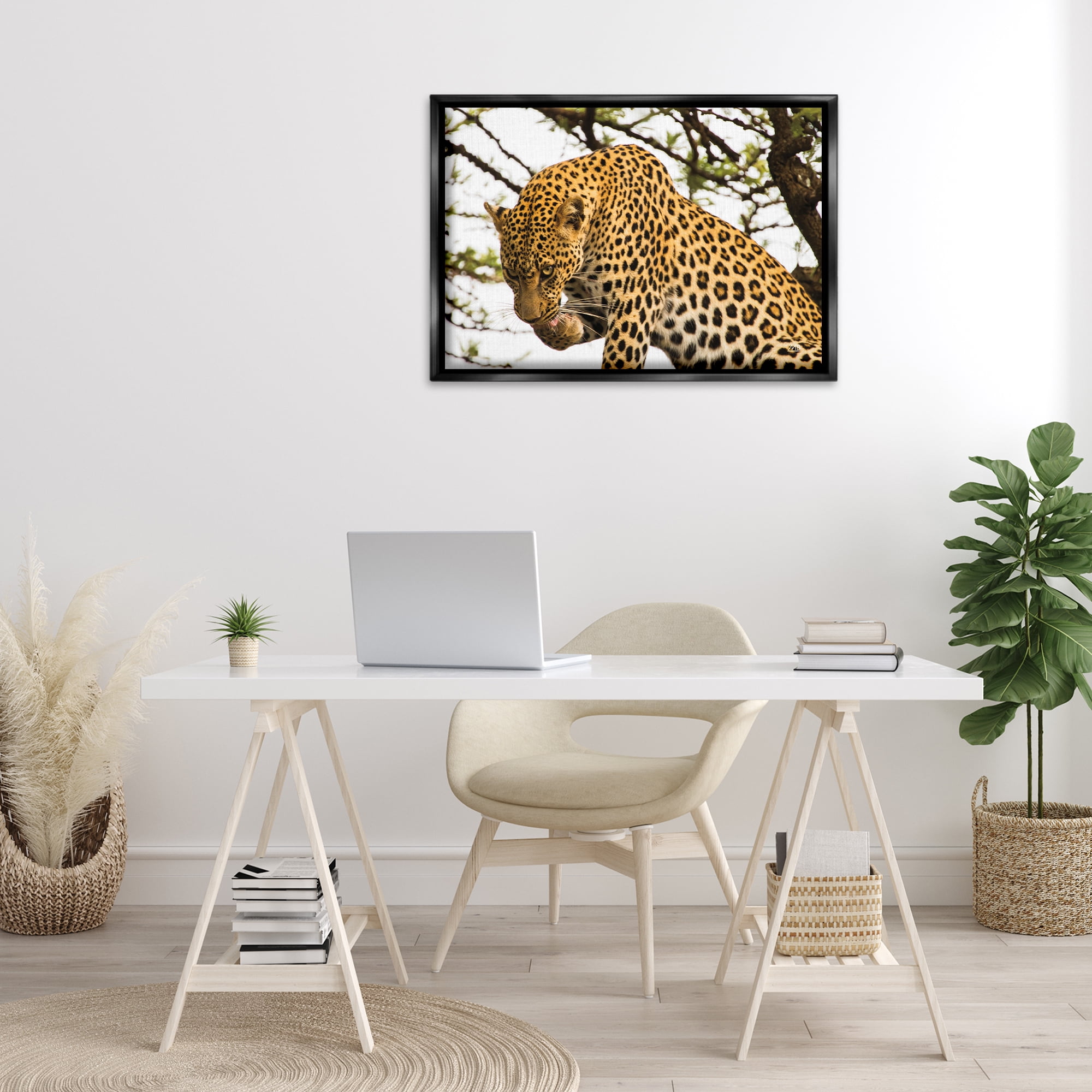 Stupell Industries Leopard After Lunch Animals Photography Black Floater Framed Canvas Art Print Wall Art, 31 x 21