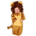 Cuddly Lion Infant Bunting