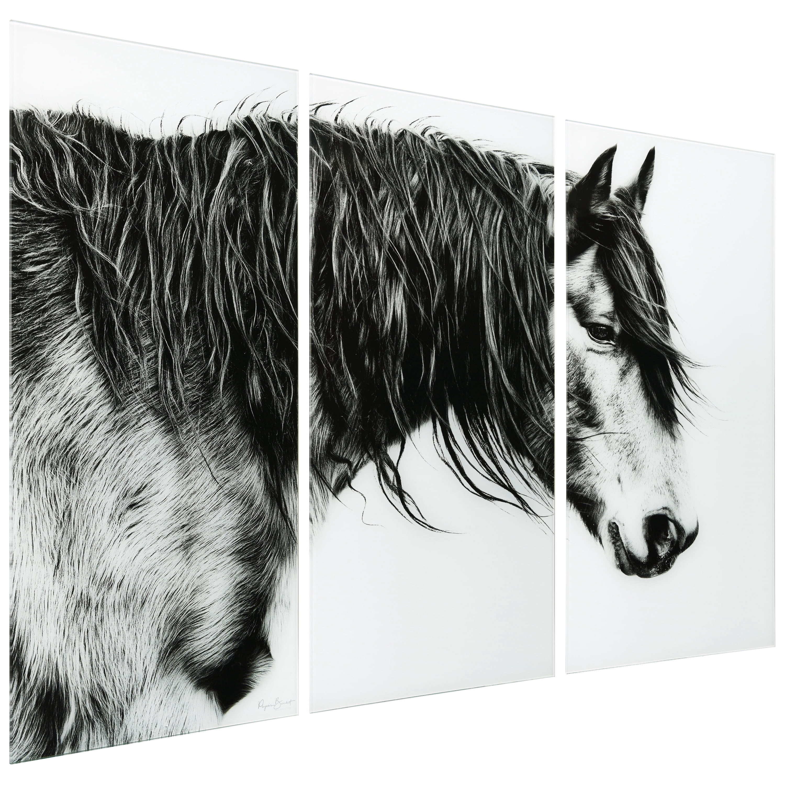 Black and White Horse Portrait III ABC 36 in x 72 in Mixed Media Art, by Empire Art 3 Count