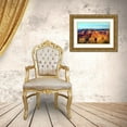 thumbnail image 3 of Taylor, Douglas 14x11 Gold Ornate Wood Framed with Double Matting Museum Art Print Titled - Grand Canyon Dawn I, 3 of 4