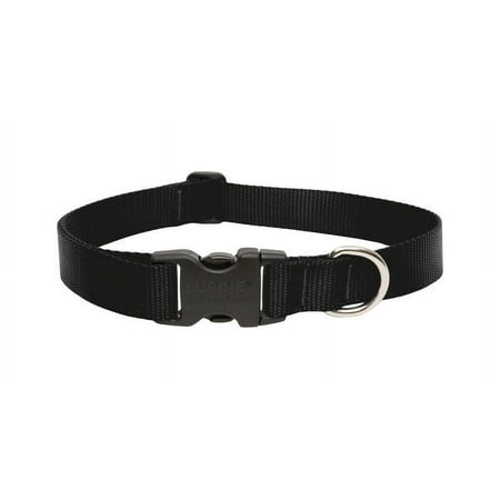 UPC: 0746889275527 | LupinePet Basic Solids Black Black Nylon Dog Adjustable Collar