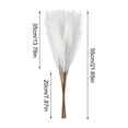 thumbnail image 2 of Dried Pampas Grass Decor, 22 Inch Faux Pampas Grass Stems, Elegant Home Decor for Living Room & Wedding Party Decoration, Aesthetic Pampas Grass Bouquet 10 Pack, 2 of 6