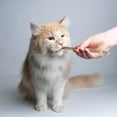 thumbnail image 2 of Bâtonnets de Cataire Naturelle pour Chat, Dentifrice Molaire pour Chat, Collations, 2 of 9