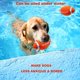 thumbnail image 3 of Juguetes para perros Squeaky Dog Rugby Toy Bounce and Fetch Dog Balls para perros medianos y grandes, 3 of 5