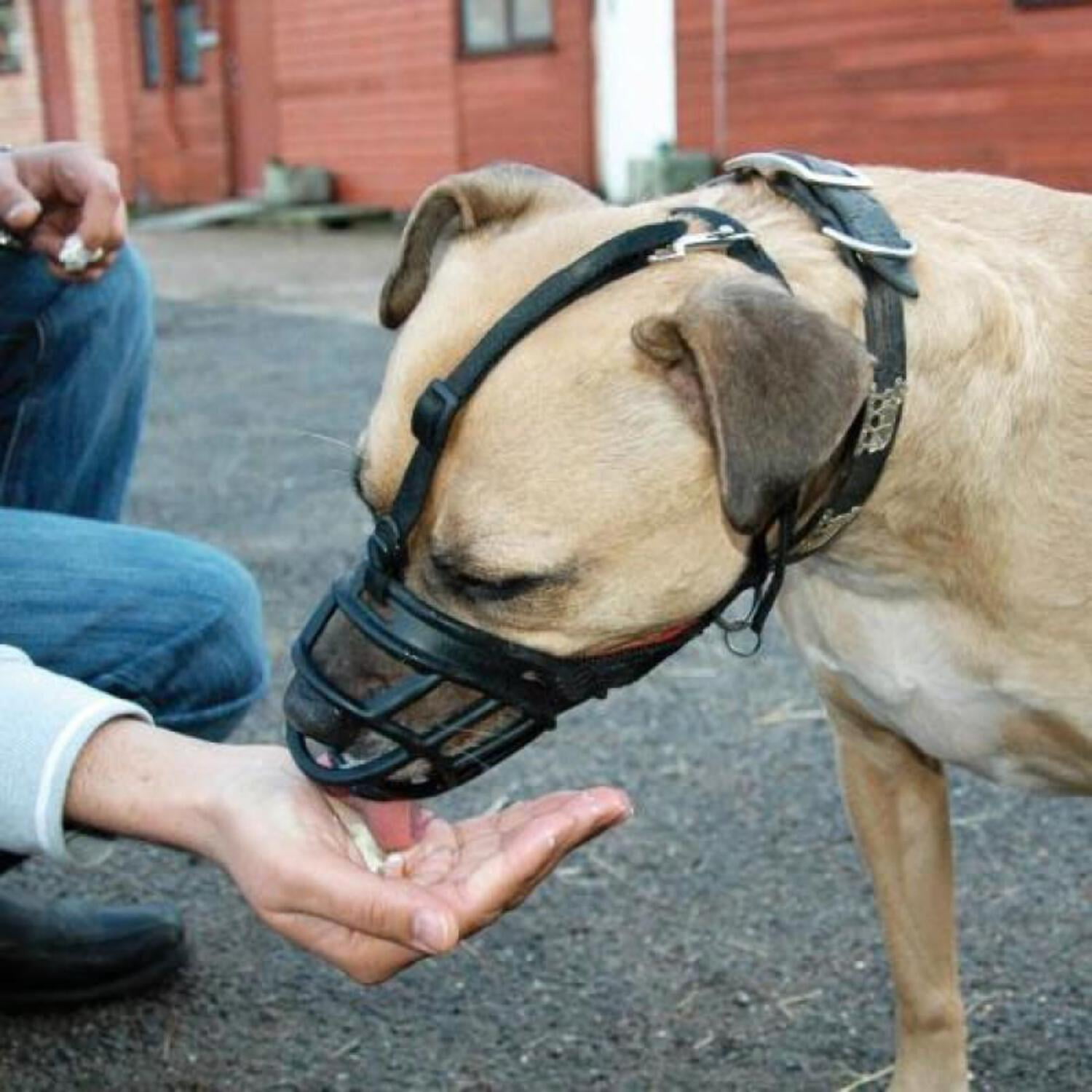 Baskerville Ultra Muzzle for Dogs Walmart