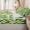 Emerald Cream, variant on Erosebridal Vibrant Dual Green Checkerboard Zipper Twin Comforter Sets with Fitted Sheet and 2 Pillowcases,Light Sage Square Secondary Tile Zipper Bedding Set,Emerald Cream,4-Piece,Reversible