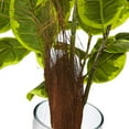 thumbnail image 2 of Nearly Natural 39.5" H Artificial Rubber Plant in Cylinder, Green, 2 of 3