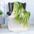 thumbnail image 4 of Bamboo Print Soft Flannel Fleece Throw Blanket, Bamboo Leaf Illustration for Wellbeing Health Fresh Purity Tranquil Art, Cozy Plush for Indoor and Outdoor Use, 60" x 80", Green White, by Ambesonne, 4 of 5