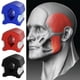 thumbnail image 4 of Ejercitador de mandíbula Tonificador de mandíbula facial Define Jawline Neck Ejercicio Ball Jaw Neck Toning Fitness Ball, 4 of 8